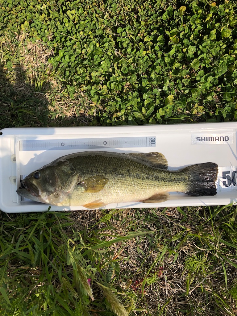 お魚メジャー バス釣り用のプランターメジャーを自作する 製作方法 霞の空