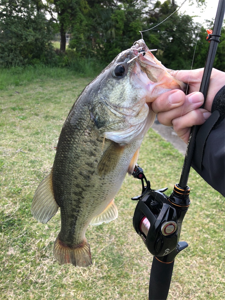f:id:yu-_ta:20190515223553j:image f:id:yu-_ta:20190515223553j:image