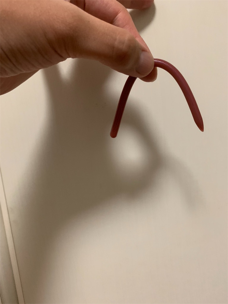 f:id:yu-_ta:20190616223357j:image f:id:yu-_ta:20190616223357j:image
