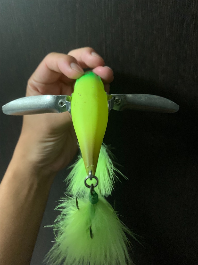 f:id:yu-_ta:20190821220534j:image f:id:yu-_ta:20190821220534j:image