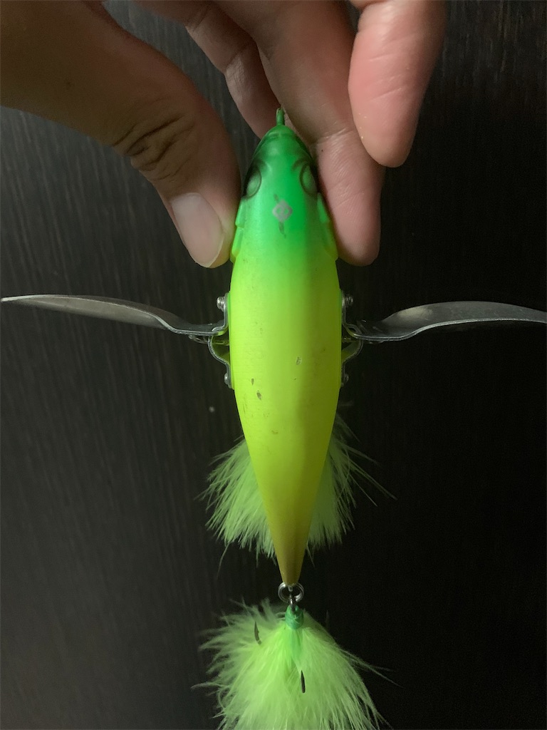 f:id:yu-_ta:20190821220631j:image f:id:yu-_ta:20190821220631j:image