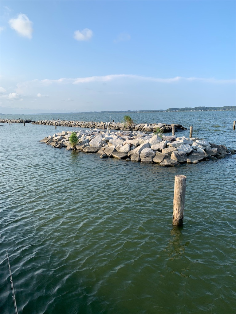 f:id:yu-_ta:20190826214740j:image f:id:yu-_ta:20190826214740j:image