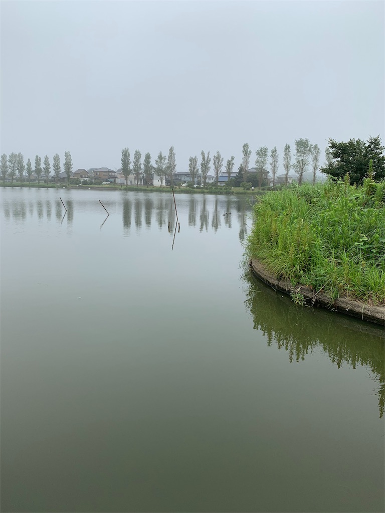 池 の 水 全部 抜く 潮来