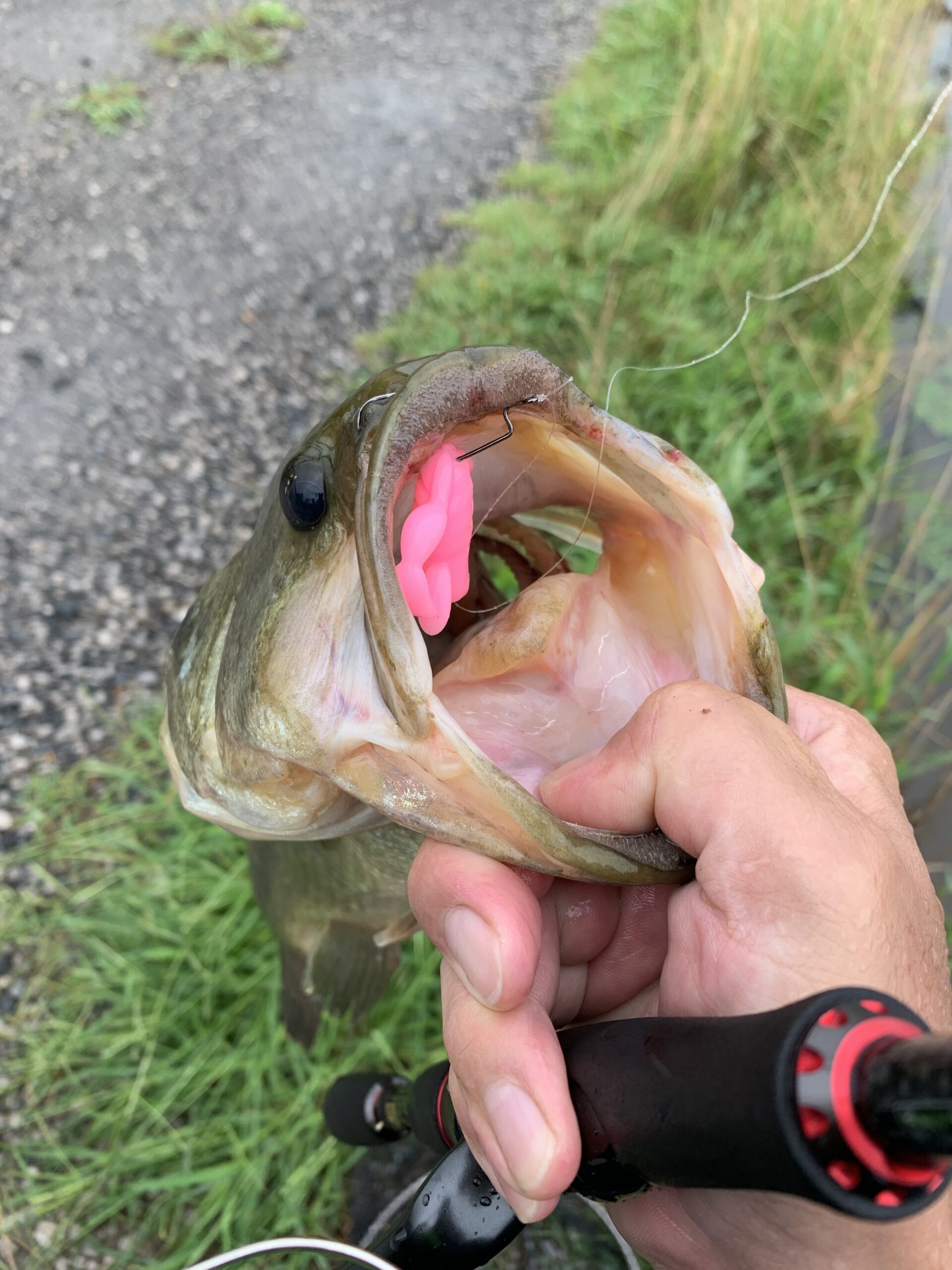 霞ヶ浦水系 そろそろ梅雨です 今年の梅雨のバス釣りはスクーパーフロッグをおすすめしたい 霞の空