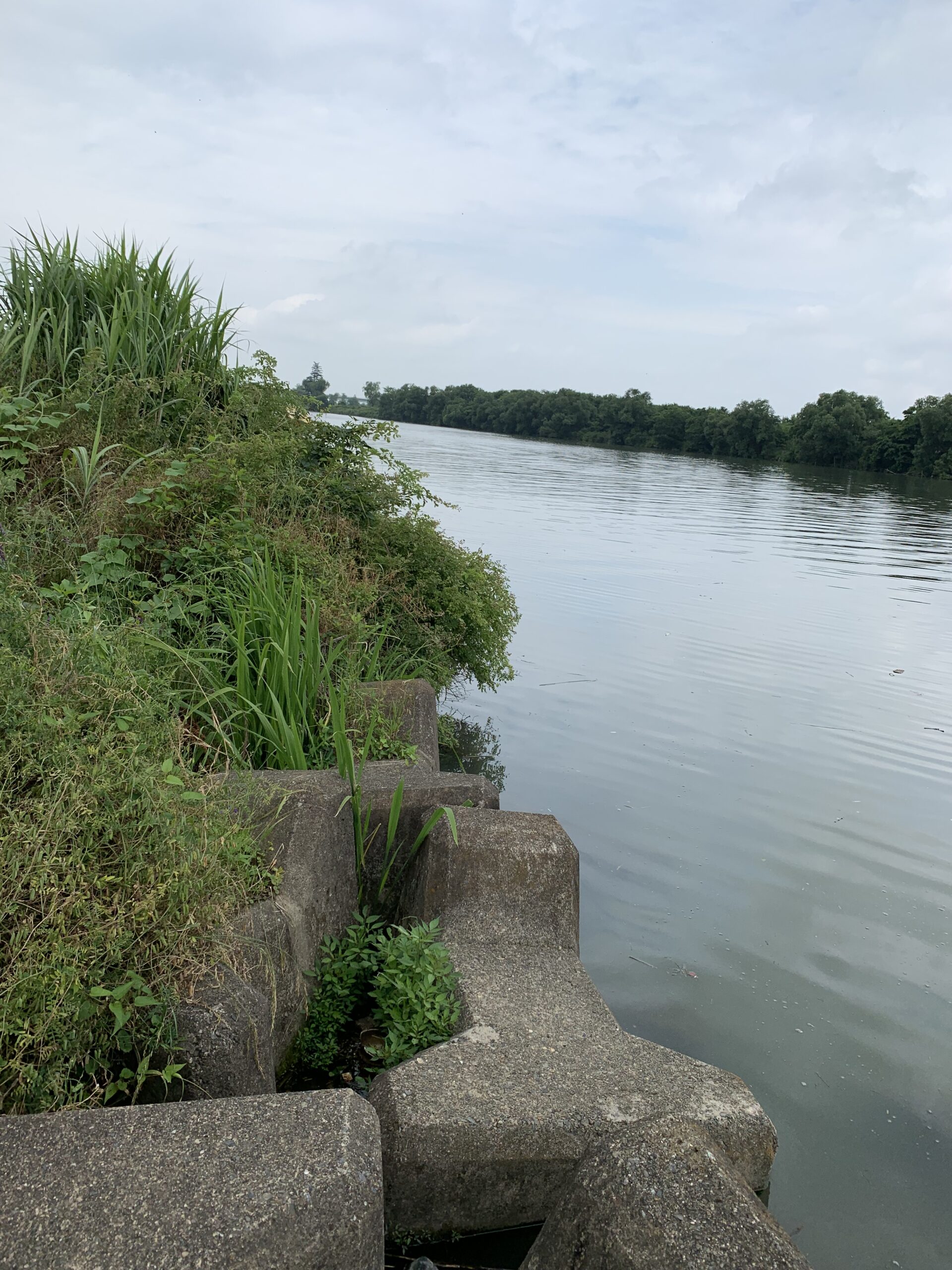 6月10日荒川時短釣行記録 本日 晴天なり しかし釣果は 霞の空