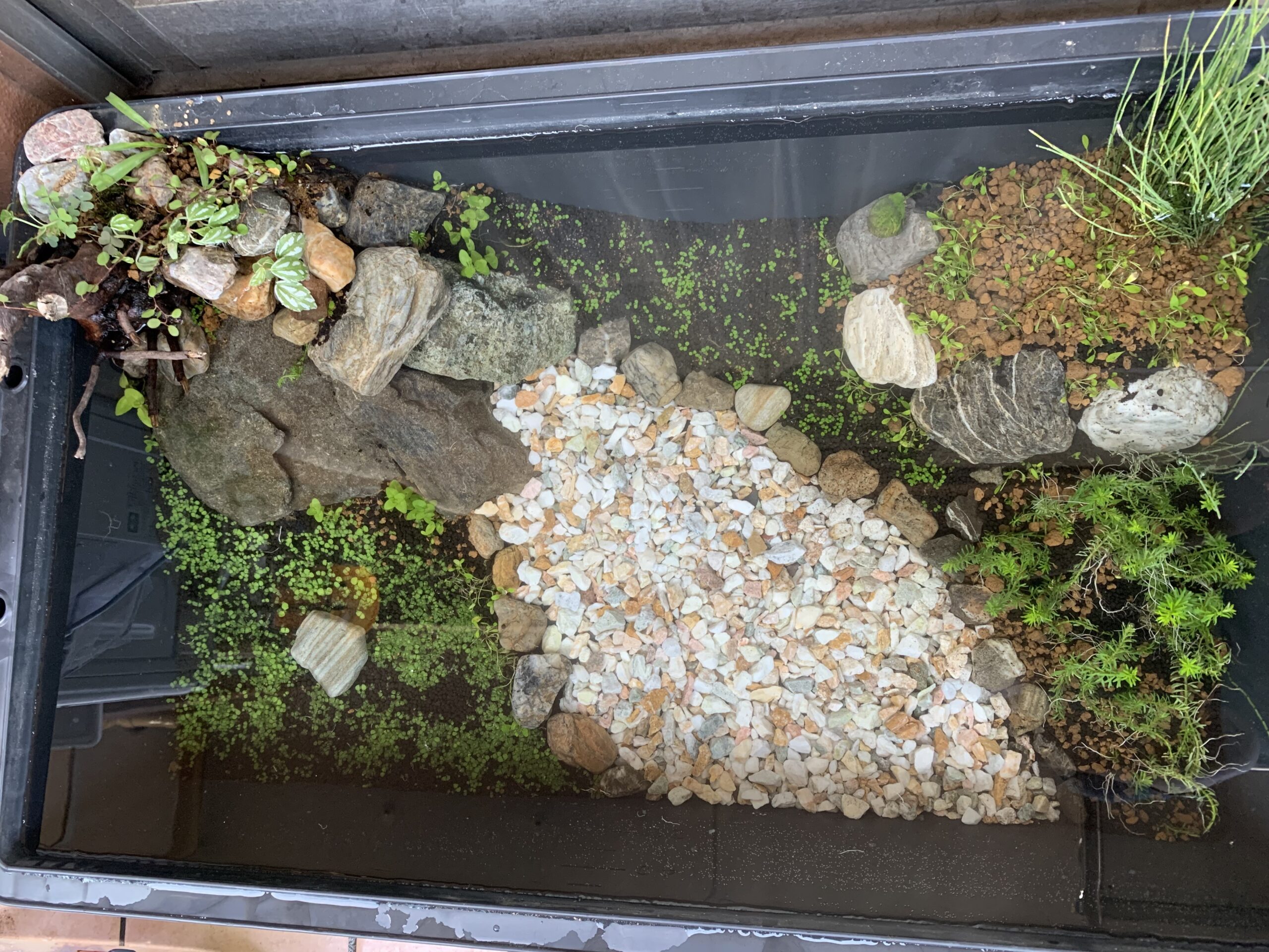 初心者がメダカのビオトープを立ち上げる ベランダでビオトープ作り 植栽と水入れ編 霞の空 初心者がメダカのビオトープを立ち上げる ベランダでビオトープ作り 植栽と水入れ編 霞の空